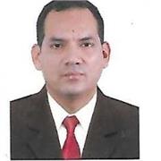 Profesor de ciencias básicas, matemáticas e informática
